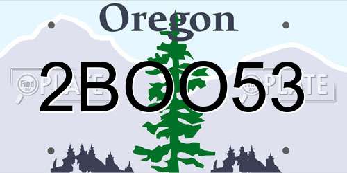 2BOO53 Oregon License Plate