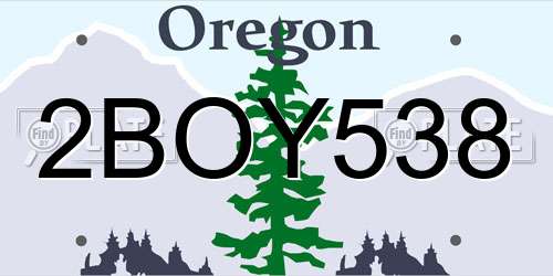 2BOY538 Oregon License Plate