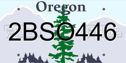 2BSO446 Oregon License Plate