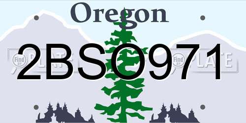 2BSO971 Oregon License Plate
