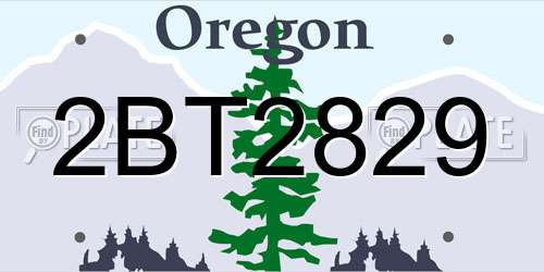 2BT2829 Oregon License Plate