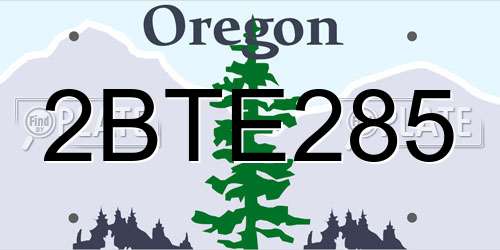 2BTE285 Oregon License Plate