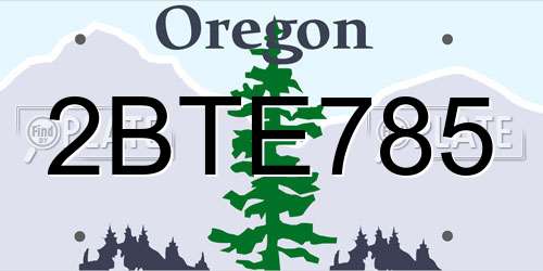 2BTE785 Oregon License Plate