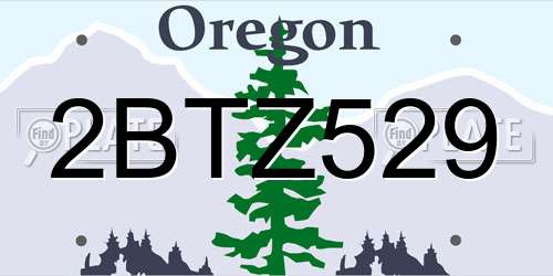 2BTZ529 Oregon License Plate