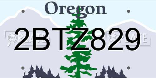 2BTZ829 Oregon License Plate