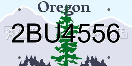 2BU4556 Oregon License Plate