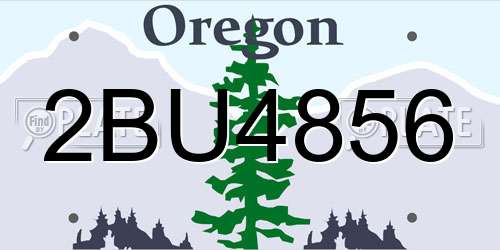 2BU4856 Oregon License Plate