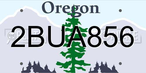 2BUA856 Oregon License Plate