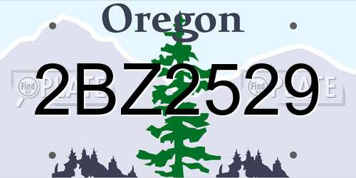 2BZ2529 Oregon License Plate