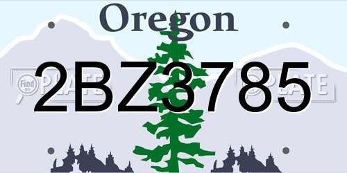 2BZ3785 Oregon License Plate