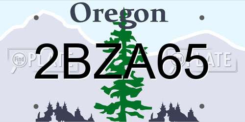 2BZA65 Oregon License Plate