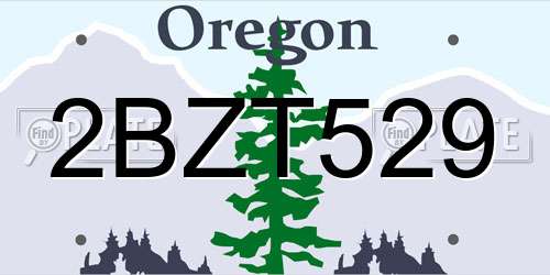 2BZT529 Oregon License Plate