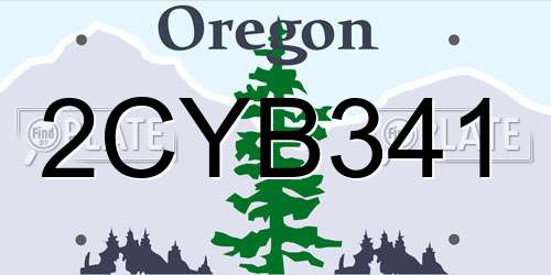 2CYB341 Oregon License Plate