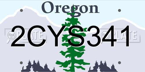 2CYS341 Oregon License Plate