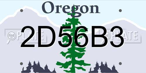 2D56B3 Oregon License Plate