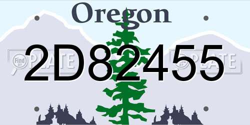 2D82455 Oregon License Plate