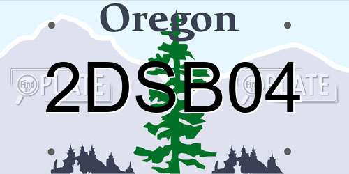 2DSB04 Oregon License Plate