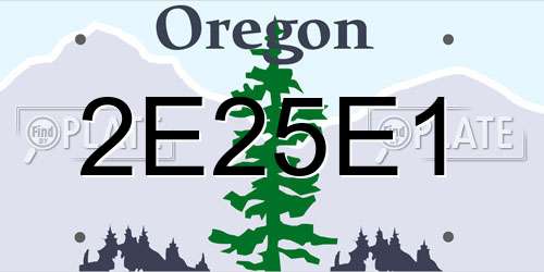 2E25E1 Oregon License Plate