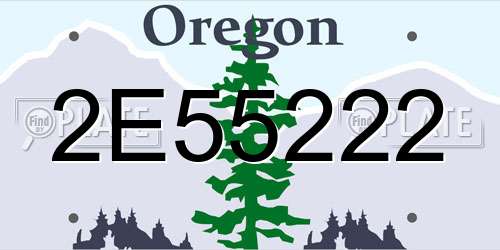 2E55222 Oregon License Plate