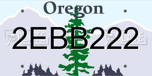 2EBB222 Oregon License Plate