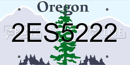 2ES5222 Oregon License Plate