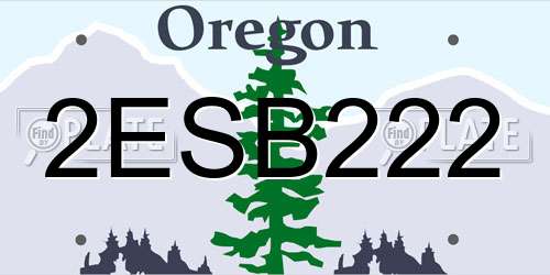 2ESB222 Oregon License Plate