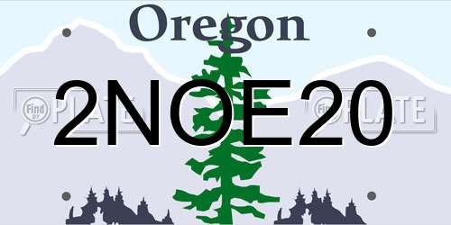 2NOE20 Oregon License Plate