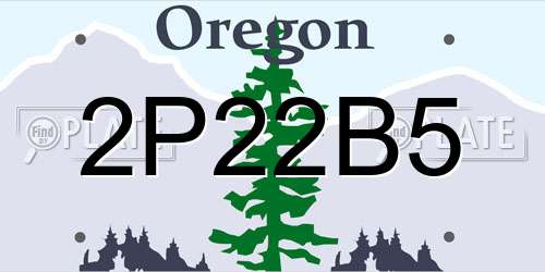 2P22B5 Oregon License Plate