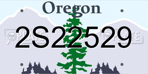 2S22529 Oregon License Plate