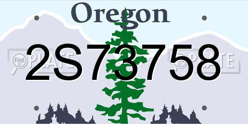 2S73758 Oregon License Plate