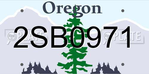 2SB0971 Oregon License Plate