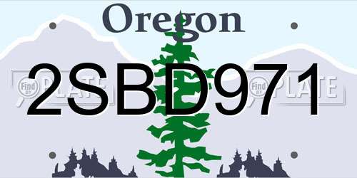 2SBD971 Oregon License Plate