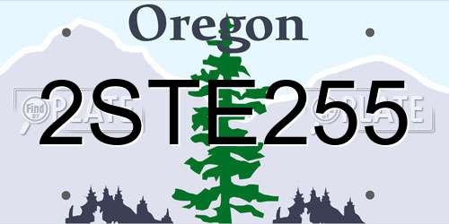 2STE255 Oregon License Plate