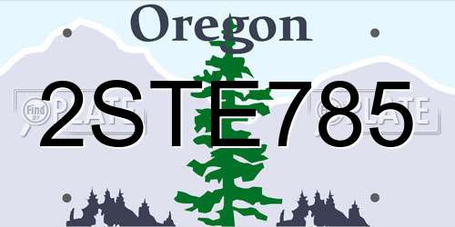2STE785 Oregon License Plate