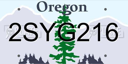 2SYG216 Oregon License Plate