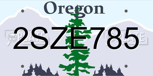 2SZE785 Oregon License Plate