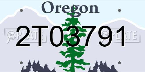 2T03791 Oregon License Plate