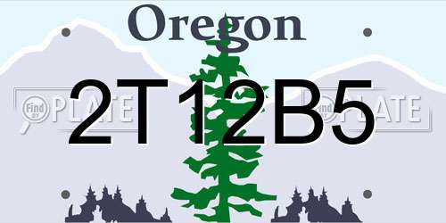 2T12B5 Oregon License Plate