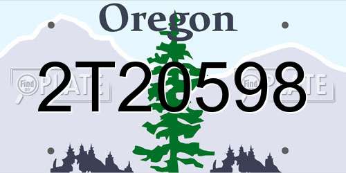 2T20598 Oregon License Plate