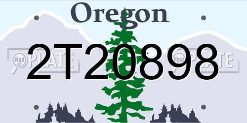 2T20898 Oregon License Plate