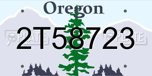 2T58723 Oregon License Plate