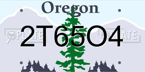 2T65O4 Oregon License Plate