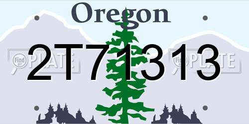 2T71313 Oregon License Plate