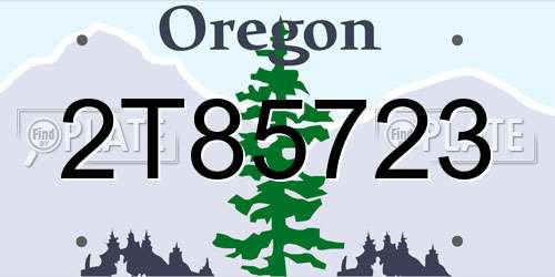 2T85723 Oregon License Plate