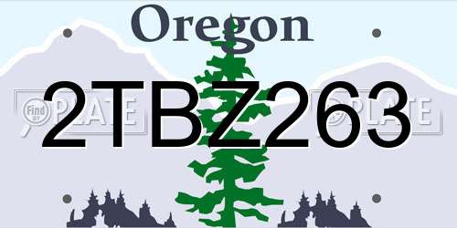 2TBZ263 Oregon License Plate