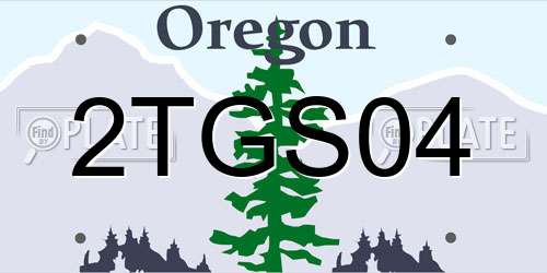 2TGS04 Oregon License Plate