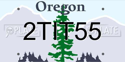 2TIT55 Oregon License Plate