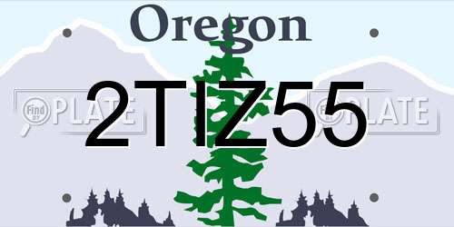 2TIZ55 Oregon License Plate