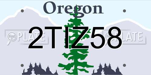 2TIZ58 Oregon License Plate