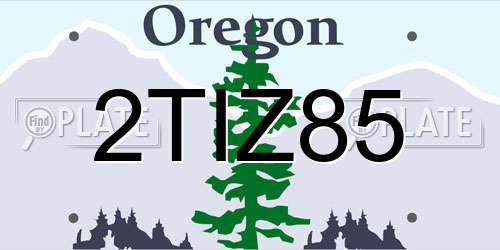 2TIZ85 Oregon License Plate